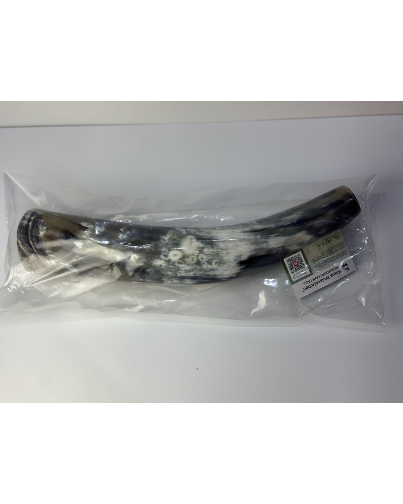 Wabik Róg 40cm - 510516