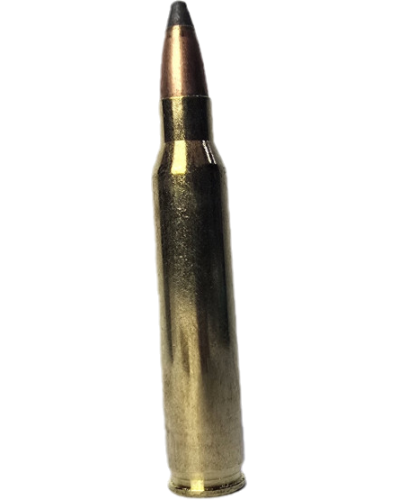 Amunicja S&B kal. 223 Rem. SP 3.6g (55gr)