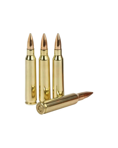 Amunicja PMC 223 REM 3.56 Fmj 